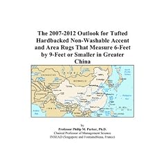 The 2007-2012 Outlook for Tufted Hardbacked Non-Washable Accent and Area Rugs That Measure 6-Feet by 9-Feet or Smaller in Greater China