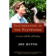 Illumination in the Flatwoods