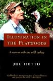 Illumination in the Flatwoods