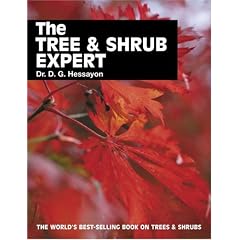 The Tree and Shrub Expert (Expert books)