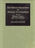 Kidneys, Ureters and Urinary Bladder (Netter Collection of Medical Illustrations, Volume 6)
