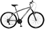 Mongoose Montana Men's Mountain Bike (26-Inch Wheels, Grey)