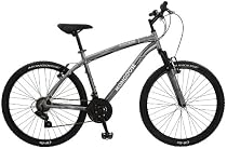 Mongoose Montana Men's Mountain Bike (26-Inch Wheels, Grey)