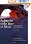 Palestine in the Time of Jesus: Social Structures and Social Conflicts