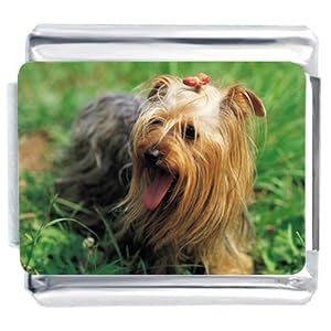 Yorkie Terrier Gift Italian Charm