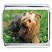 terrier12 - Yorkie Terrier Gift Italian Charm