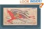 The Ledgerbook of Thomas Blue Eagle