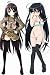 Japanese Anime Shakugan No Shana Double Sides Hug Pillowcase #031
