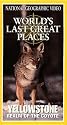 National Geographic's Yellowstone: Realm of the Coyote [VHS]