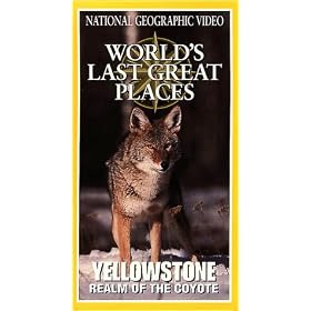 National Geographic's Yellowstone: Realm of the Coyote [VHS]