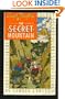 Secret Mountain