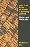 Small Firms And The Environment In Developing Countries : Collective Impacts, Collective Action
