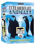 Nature: Extraordinary Animals