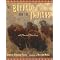 Learn About Bison