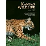 Kansas Wildlife