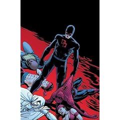 Daredevil, Tome 22 : Shadowland