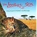 Leopard Son