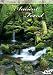 World's Most Relaxing Places: Ancient Forest World's Most Relaxing Places: Ancient Forest