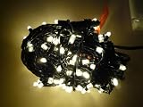 ＬＥＤイルミネーション　イルミナライン・プロ　電球色　ナチュラル　100球　高性能防水機能　表参道イルミもこの色です♪