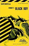 Black Boy: A Record of Childhood and Youth