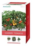 Aerogarden Red Cherry Tomato Seed Kit 3/6