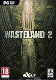 Wasteland 2 (PC DVD)