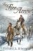 Book The Fire Arrow: A Barnaby Skye Novel (Skye's West)