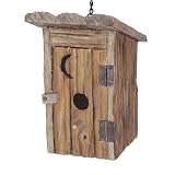 Outhouse Birdhouse