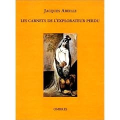 Les Carnets de l'explorateur perdu