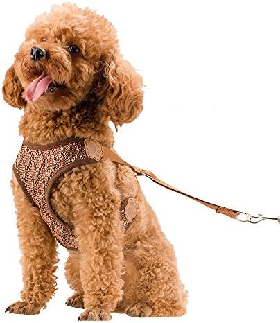 Petperi No-Pull Mesh Dog Harness and Leash Set,Summer Cool Dog Clothes,Adjustable and Breathable Dog Training Walking Harness Leash Collar for Large/Medium/Small Dog (XL(12-20 lb), Brown)