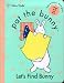  : Pat the Bunny : Let's Find Bunny