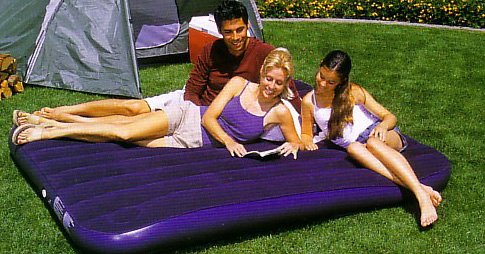 Childrens Toyshop  Outdoor Living : Flocked Double Air Bed with Built in Pump