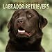 Book Chocolate Labrador Retrievers 2004 Calendar