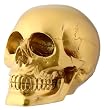 Gold Skull - Cold Cast Resin - 4.5" Height