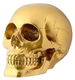 Gold Skull Head Collectible Skeleton Decoration Figurine Statue Model
