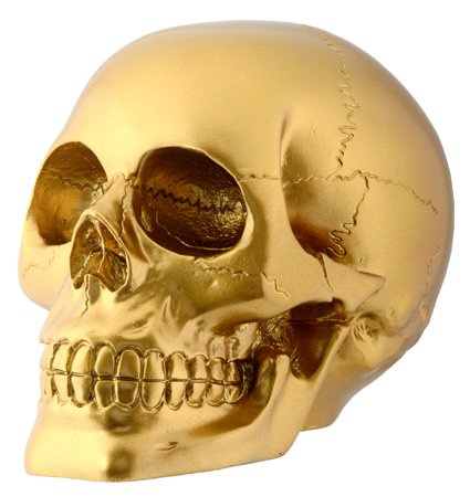 Gold Skull Head Collectible Skeleton Decoration 