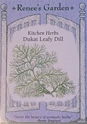 Dill Dukat Seeds 750 Seeds