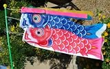 Koinobori Fish Windsock Set on a Stick #TKN006