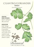 Coriander Cilantro Sabor Heirloom Seeds 350 Seeds