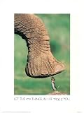 Elephant & Mouse (Let the Little Things in Life Tickle You) Art Poster Print - 18