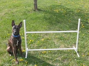 Single Adjustable Jump Dog Agility Equipment Single Adjustable Jump Dog Agility Equipment