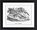 Framed Prints of Otter (Bewick) from Mary Evans