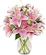 Benchmark Bouquets 8 Stem Stargazer Lily Bunch, With Vase