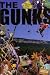 Books : The Gunks (Shawangunks Climbing Guide; New Paltz)