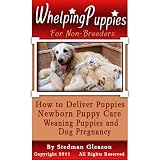 Whelping Puppies For Non-Breeders: How to Deliver Puppies, Newborn Puppy Care, Weaning Puppies and Help with Dog Pregnancy