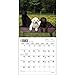Lab Puppies 2015 Small Wall Calendar