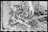 Photo Adjusting wire on corn planter, Monona County, Iowa 1940