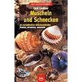 Muscheln und Schnecken