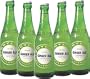 Boylan Bottleworks 12 oz. Ginger Ale 12pack