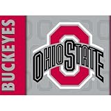 BSI Ohio St. Buckeyes Premium 3x5 Flag